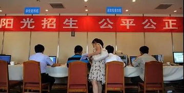 高招錄取正式啟動(dòng) 石家莊市咨詢(xún)服務(wù)站電話公布，助力考生獲取關(guān)鍵信息